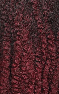 Outre Synthetic Crochet Braids X-Pression Twisted Up 2X Springy Afro Twist 12"