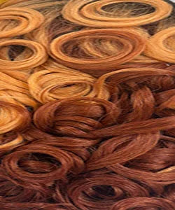 Janet Collection Human Hair Blend HD Lace Front Wig 360 Glueless Melt Hand-Tied 13X6 Frontal Part Tiva - Synthetic