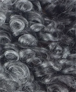 Shake-N-Go Human Hair Blend HD Lace Front Wig Legacy Flora