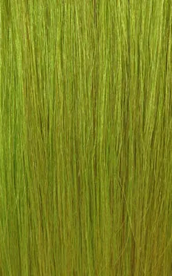 Janet Collection Natural Remy Human Hair Tape in Accent Extension 6Pcs