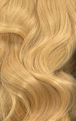 Sensationnel HD Lace Front Synthetic Wig Glueless Festi-Gal Shear Muse Dazzle Gal